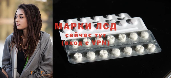 ГАЛЛЮЦИНОГЕННЫЕ ГРИБЫ Белокуриха