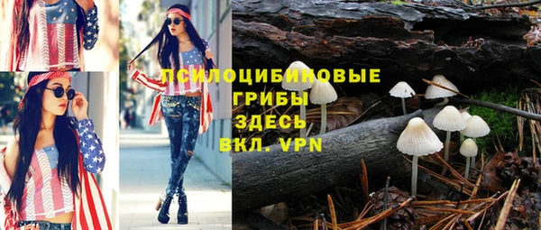 мдпв Богородицк
