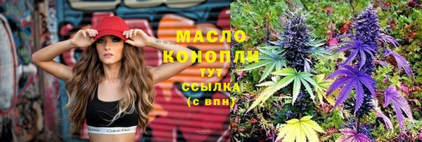 мдпв Богородицк