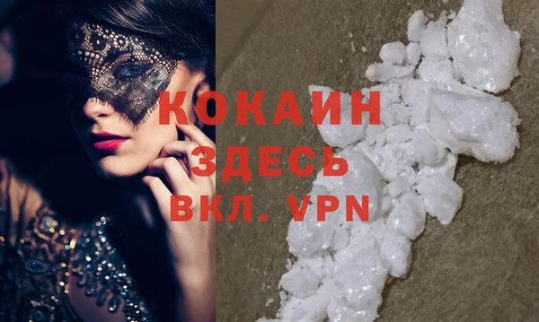 ГАЛЛЮЦИНОГЕННЫЕ ГРИБЫ Белокуриха