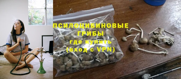 mdpv Богданович